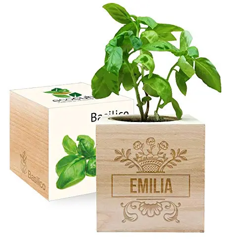 EcoCube personalizzabile con incisione Nome