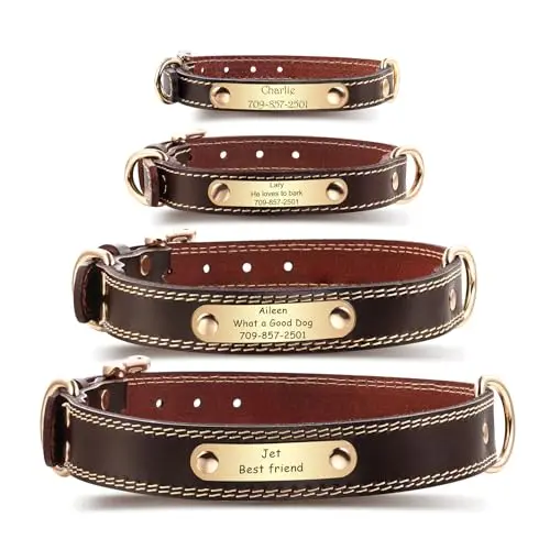 MeMeDIY Collari per Cani in Pelle Personalizzati