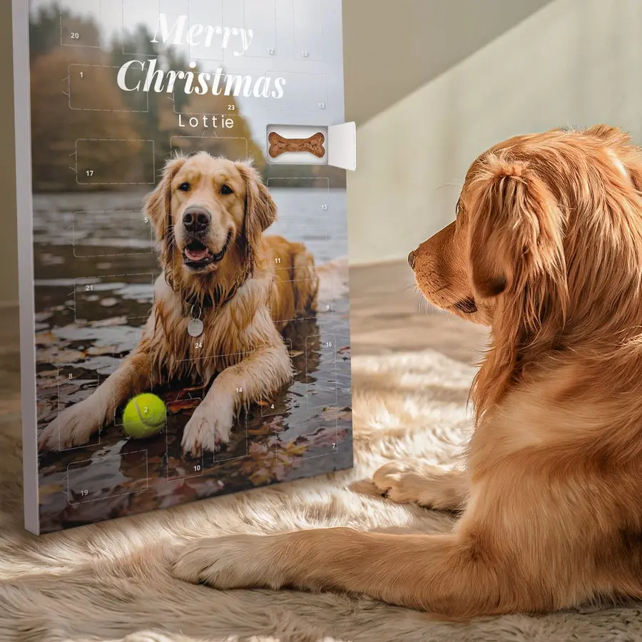 Calendario dell'Avvento per Cani con Foto